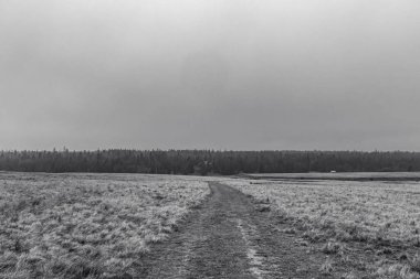 Bir köy yolu tarlası. yüksek kaliteli fotoğraf