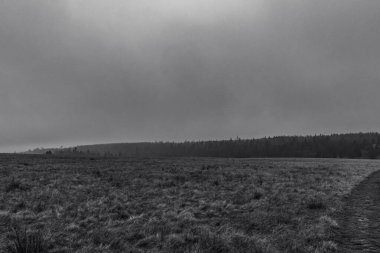 Dağlarda bir ağacı olan güzel bir manzara.