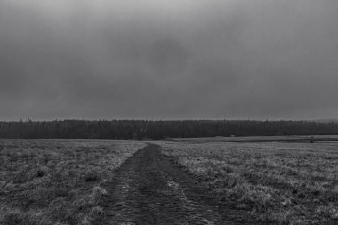 Kışın karanlık ve sisli bir arazi.