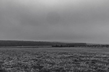 Büyük bir tarlası ve büyük bir ağacı olan kış manzarası.