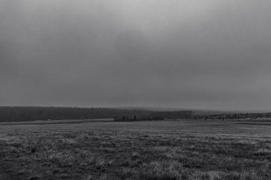 Ağaçlarla dolu bir tarlası ve bulutlu bir gökyüzü olan güzel bir manzara.
