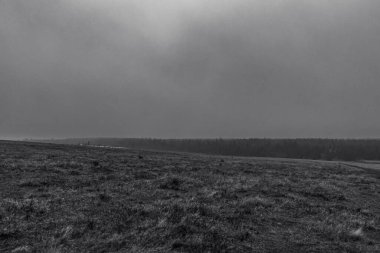 Güzel sisli sonbahar manzarası.