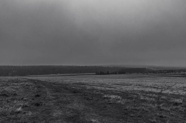 Gündüz vakti ormandaki tarlanın gri tonlu bir görüntüsü.