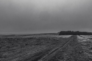 Ormandaki bir yolun siyah beyaz fotoğrafı.