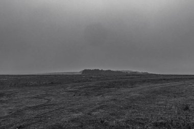 Landscapes, Forest, Carpathians, Photos of nature -Black and white photos, monochrome photos - Europe, Eastern Europe