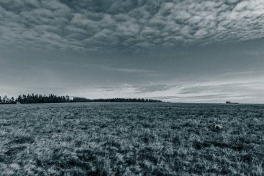 Bulutlu mavi gökyüzü ile güzel bir tarla manzarası