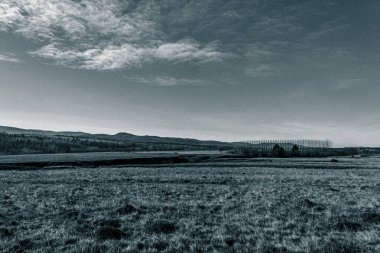Ağaçlarla kaplı güzel bir manzara.