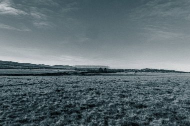 Kırsaldaki bir tarlanın siyah beyaz fotoğrafı