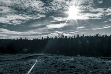 Arkasında bir tarla olan güzel bir manzaranın gri tonlu görüntüsü.