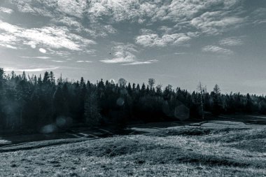 Ağaçlar ve mavi gökyüzü olan güzel bir manzara.