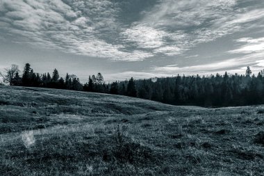 Dağlarda nehri olan güzel bir manzara.
