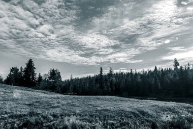 Güzel manzara. doğa arkaplanı