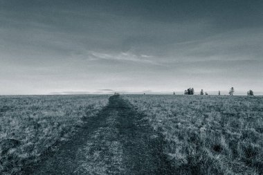 Buğday tarlası ve mavi gökyüzü olan güzel bir manzara.