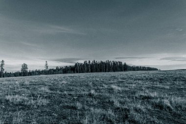 Doğa sahnesinin resimsel görüntüsü