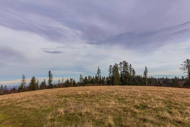 Arkasında bir dağ olan güzel bir manzara..