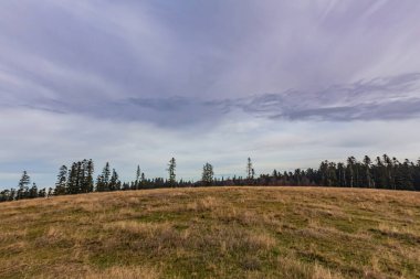 Ormanı ve bulutlu gökyüzü olan güzel sonbahar manzarası.