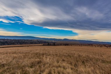 Peyzaj, Orman, Karpatlar, Doğa Fotoğrafları - Avrupa, Doğu Avrupa