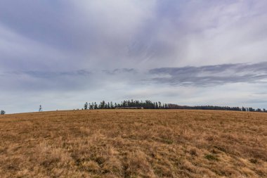 Ukrayna 'daki Karpatlar' da bir kış dağı manzarası