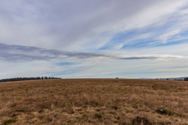 Güneşli bir günde, ağaçlı ve bulutlu yeşil bir tarlanın güzel bir görüntüsü.