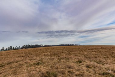 Bir tarlası ve mavi gökyüzü olan bir manzara.