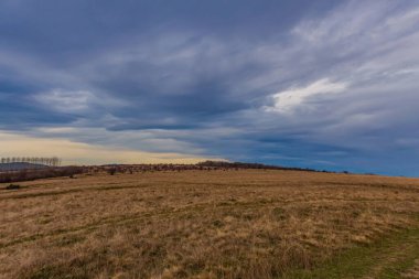 Ağaçlarla kaplı güzel bir manzara.