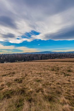 Renkli ağaçlarla dolu güzel sonbahar manzarası