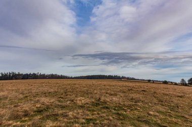 Ağaçlarla, bulutlarla ve gökyüzüyle birlikte manzara. bahar manzarası