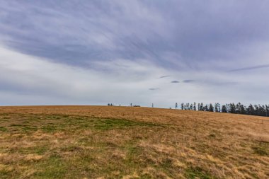 Arka planda ağaç olan güzel bir tarla görüntüsü.