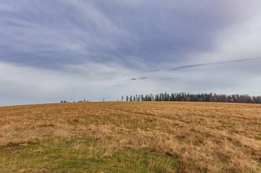 Dağlarda bir ağaçla sonbahar manzarası