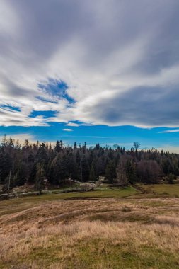 Yeni İngiltere kırsalının dikey görüntüsü. Arka planda mavi gökyüzü ve ağaçlar var.