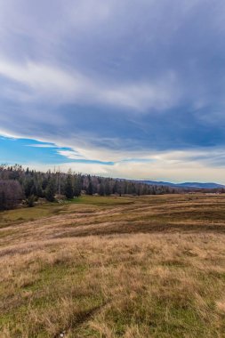 Açık bir günde geniş beyaz bulutlu bir tarla manzarası
