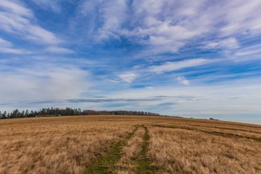 Yeşil çimenli bir arazi.