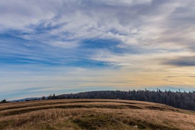 Güzel kış dağ manzarası