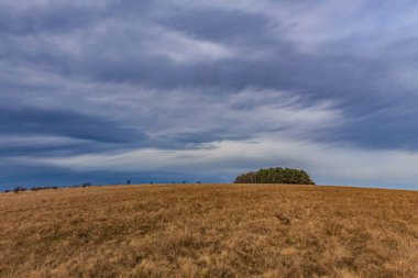 Sonbaharda tarlada güzel bir manzara