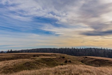 Güzel sonbahar manzarası, renkli orman