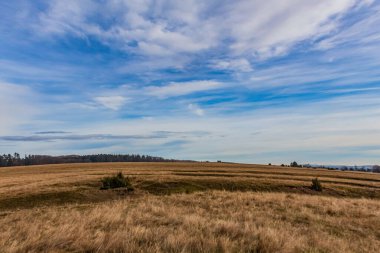 Güneşli bir günde çimenli bir tarlanın güzel manzarası.