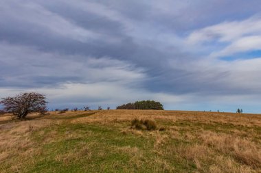 Bir tarlası ve bulutlu bir gökyüzü olan manzara
