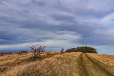 Ağaçlı ve bulutlu güzel sonbahar manzarası