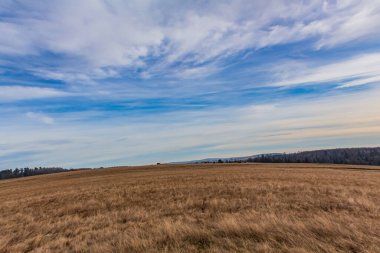 Buğday tarlası olan güzel bir manzara.