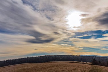 Sonbahar manzarası, ağaçlar, gökyüzü ve bulutlar.