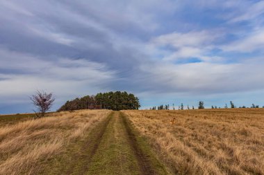 Kışın ağaçlar, bulutlar ve gökyüzüyle kırsal alan manzarası