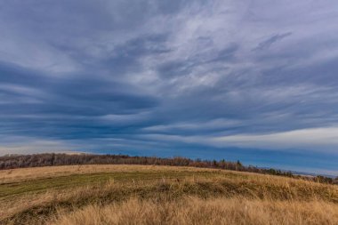 Ağaçlı ve bulutlu güzel sonbahar manzarası