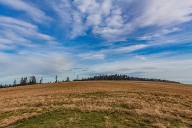 Buğday tarlası ve mavi gökyüzü olan güzel bir manzara.