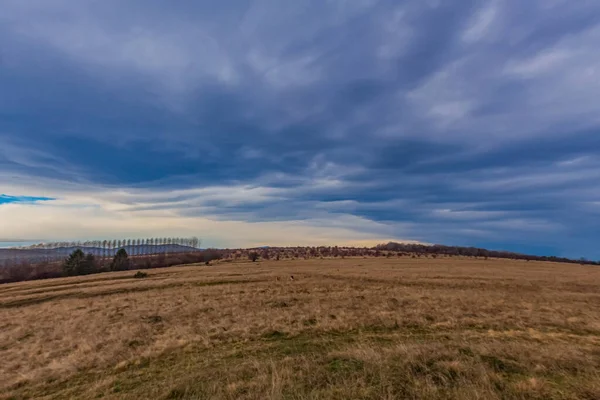 Karla kaplı ağaçlarla kaplı güzel kış manzarası