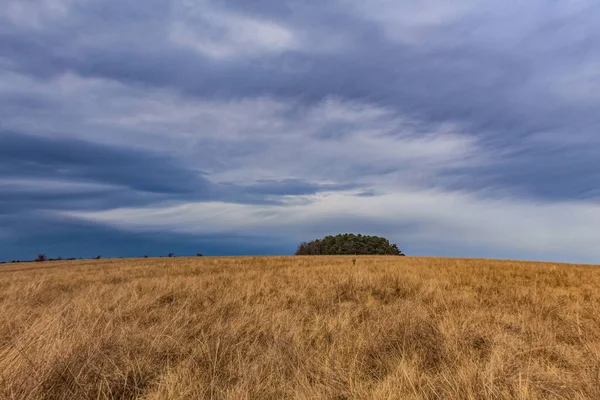 Büyük beyaz kabarık bulutları olan bir tarla.