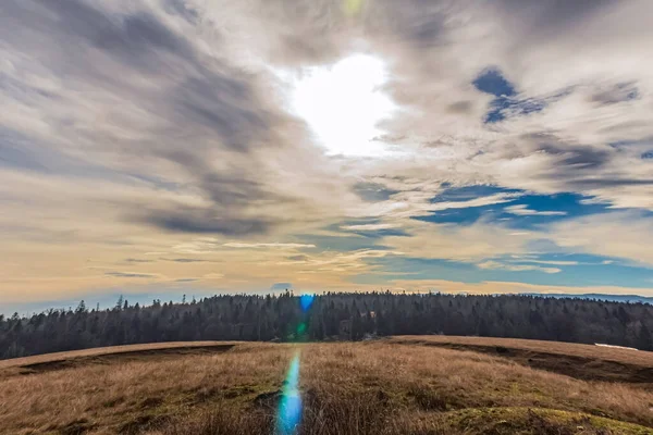 Ağaçlı güzel sonbahar manzarası