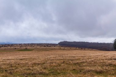 Çek Cumhuriyeti'nde sonbahar manzarası.
