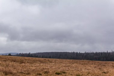 Ağaçlar ve mavi gökyüzü olan bir manzara.