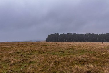 Karla kaplı bir sonbahar tarlası manzarası