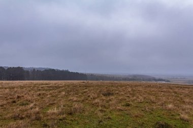 Kuzey Denizi manzarası